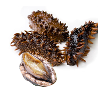 Bào ngư hải sâm