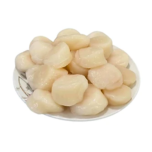 Còi Sò Điệp Baby