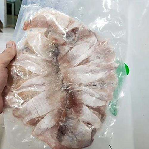 Cá Đuối 1 Nắng