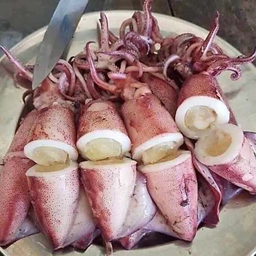 Mực Trứng (18-24 con/Kg)