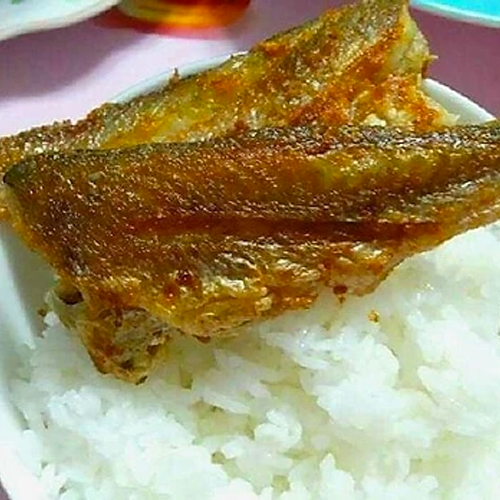 Cá Đù Size 15 – 20 con