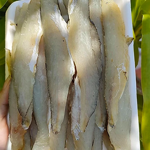 Cá Mối Không Xương