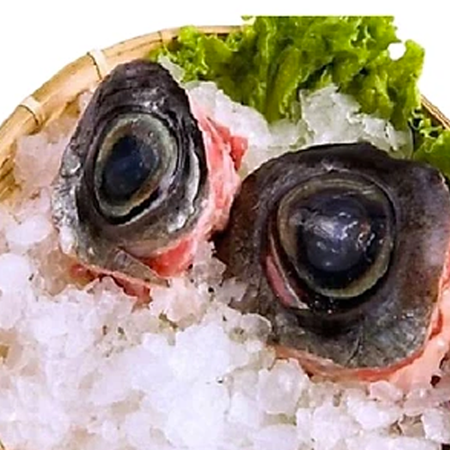 Mắt Cá Ngừ Đại Dương