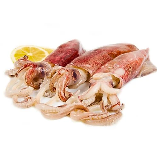 Mực Trứng (3-7 con/Kg)